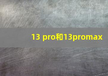 13 pro和13promax