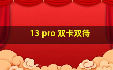 13 pro 双卡双待