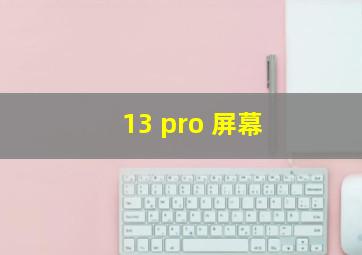 13 pro 屏幕