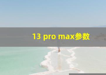 13 pro max参数