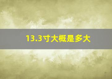 13.3寸大概是多大