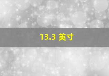 13.3 英寸