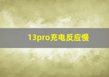 13pro充电反应慢