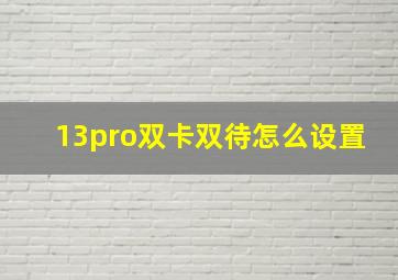 13pro双卡双待怎么设置