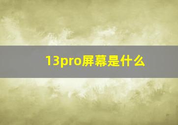 13pro屏幕是什么