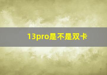 13pro是不是双卡