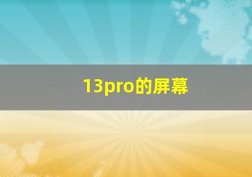 13pro的屏幕