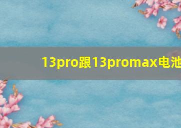 13pro跟13promax电池