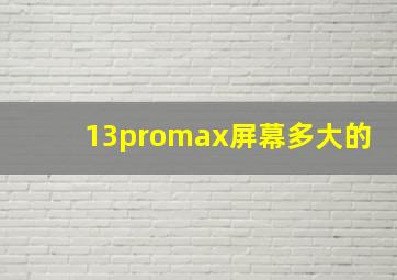 13promax屏幕多大的