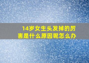 14岁女生头发掉的厉害是什么原因呢怎么办