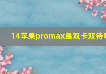 14苹果promax是双卡双待吗