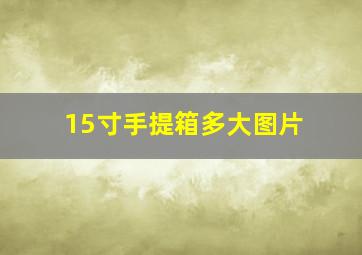 15寸手提箱多大图片