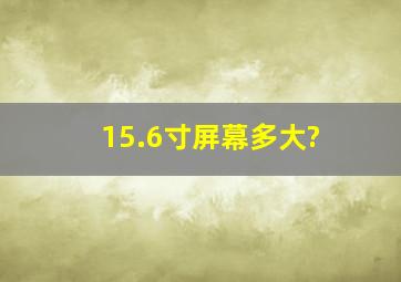 15.6寸屏幕多大?