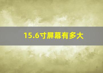 15.6寸屏幕有多大