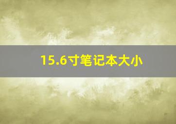 15.6寸笔记本大小