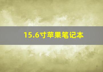 15.6寸苹果笔记本