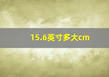 15.6英寸多大cm