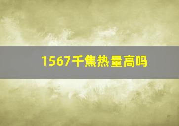 1567千焦热量高吗