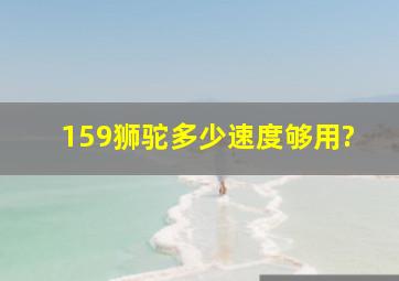 159狮驼多少速度够用?