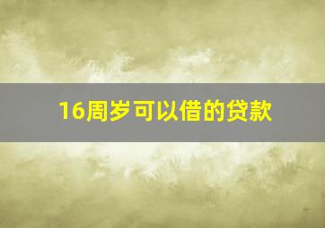 16周岁可以借的贷款