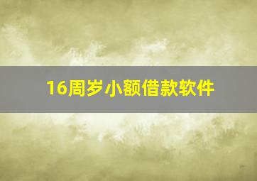 16周岁小额借款软件