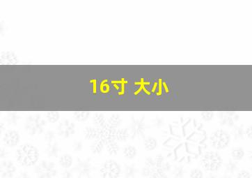 16寸 大小