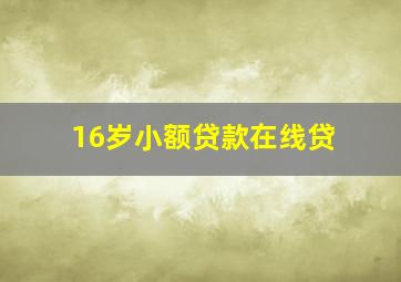 16岁小额贷款在线贷