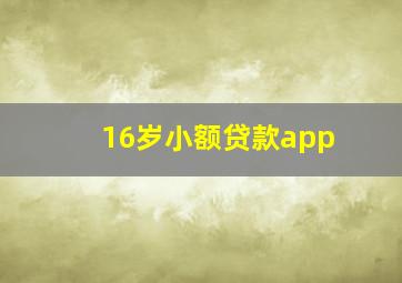 16岁小额贷款app