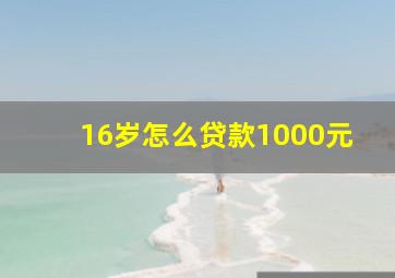 16岁怎么贷款1000元