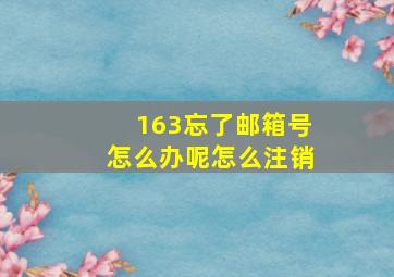 163忘了邮箱号怎么办呢怎么注销