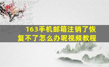 163手机邮箱注销了恢复不了怎么办呢视频教程