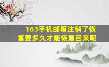 163手机邮箱注销了恢复要多久才能恢复回来呢