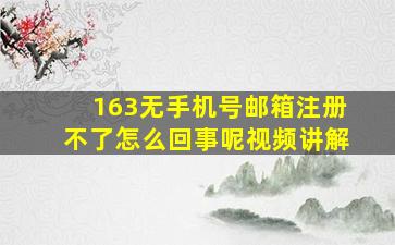 163无手机号邮箱注册不了怎么回事呢视频讲解