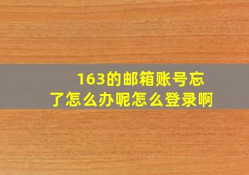 163的邮箱账号忘了怎么办呢怎么登录啊