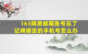 163网易邮箱账号忘了记得绑定的手机号怎么办