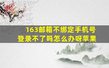 163邮箱不绑定手机号登录不了吗怎么办呀苹果