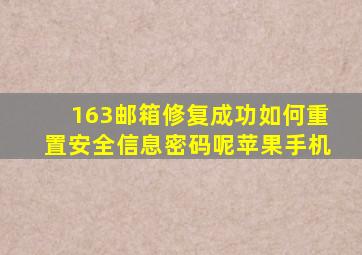 163邮箱修复成功如何重置安全信息密码呢苹果手机