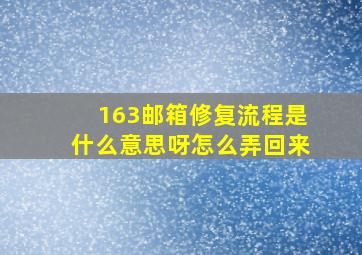 163邮箱修复流程是什么意思呀怎么弄回来