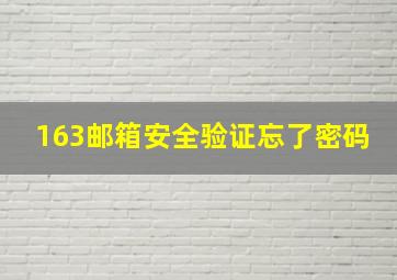 163邮箱安全验证忘了密码