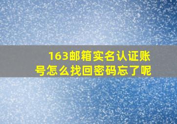 163邮箱实名认证账号怎么找回密码忘了呢