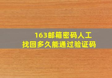 163邮箱密码人工找回多久能通过验证码