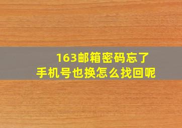 163邮箱密码忘了手机号也换怎么找回呢