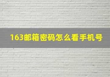 163邮箱密码怎么看手机号