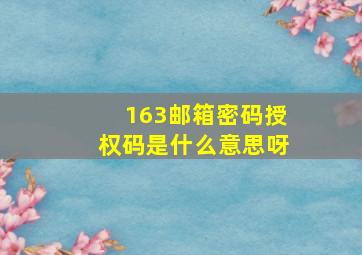 163邮箱密码授权码是什么意思呀