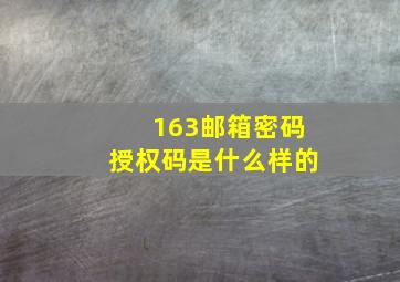 163邮箱密码授权码是什么样的