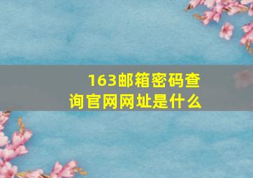 163邮箱密码查询官网网址是什么