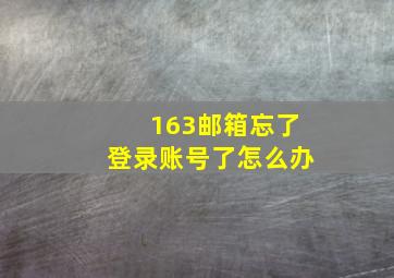 163邮箱忘了登录账号了怎么办