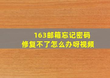 163邮箱忘记密码修复不了怎么办呀视频