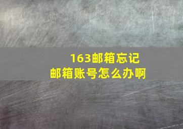 163邮箱忘记邮箱账号怎么办啊