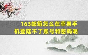 163邮箱怎么在苹果手机登陆不了账号和密码呢